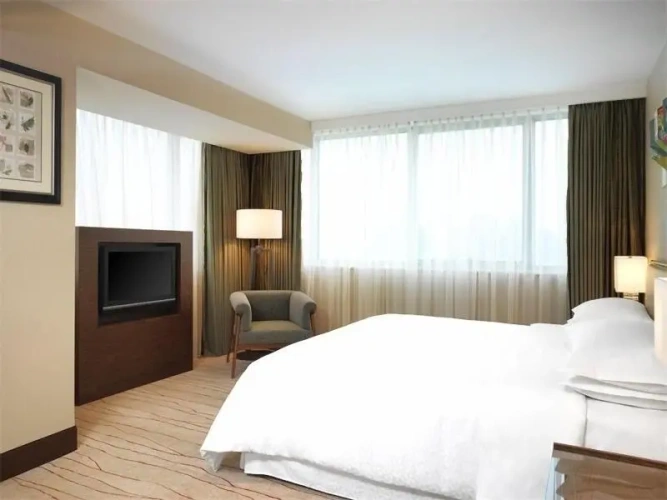 Double Suite with city view