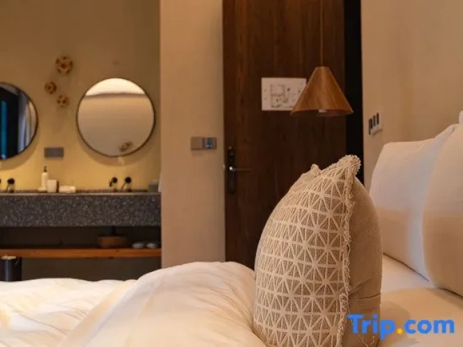 1 Bedroom Suite with courtyard view