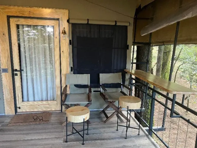 Standard Suite
