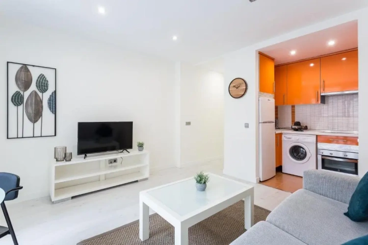 1 Bedroom Apartment