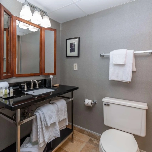Standard Double room with balcony and with river view