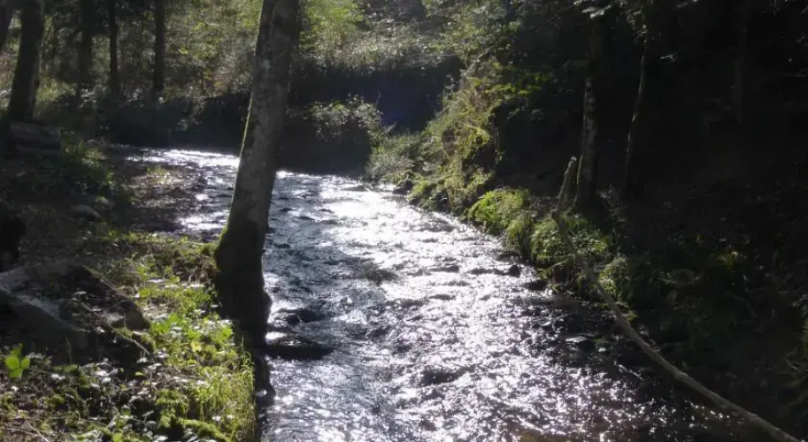 Le Moulin Gitenay - Yourte