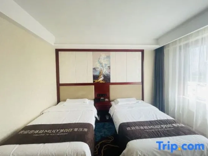Twin Suite