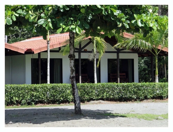 Quadruple Suite