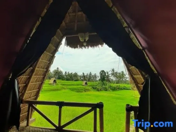 1 Bedroom Villa
