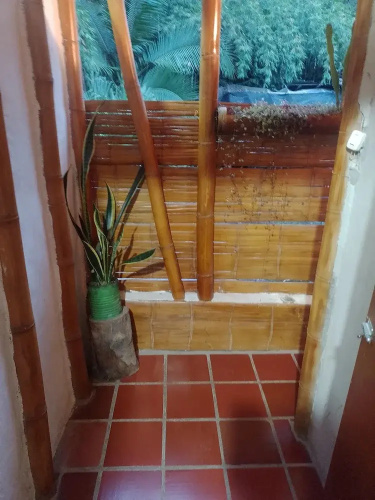 Hostal El Bambú