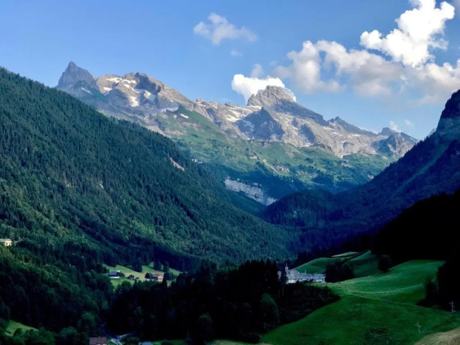 L'ancolie