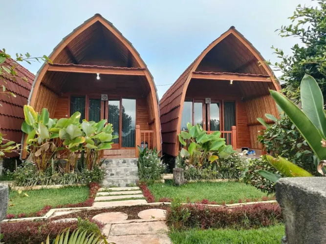 Kintamani Angel