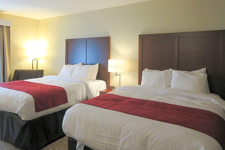 Quadruple Suite