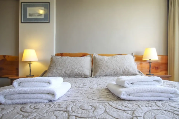 Standard Twin room with lake view