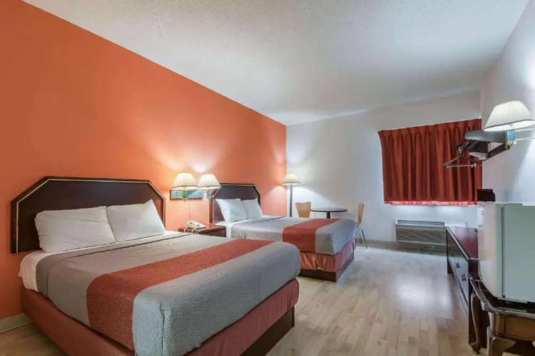 Standard Suite