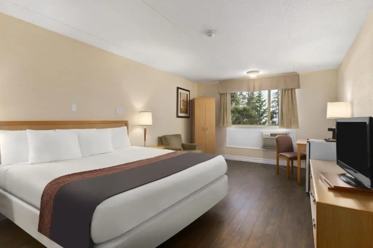 1 Bedroom Double Suite