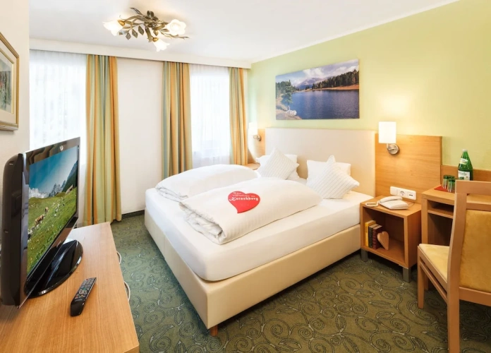 Standard Double room with balcony and with mountain view