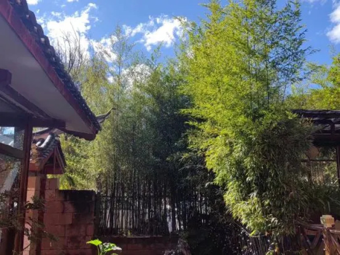 Zhuyun Inn
