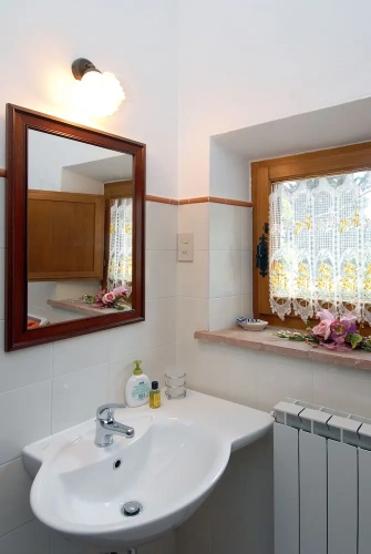1 Bedroom Basement Apartment