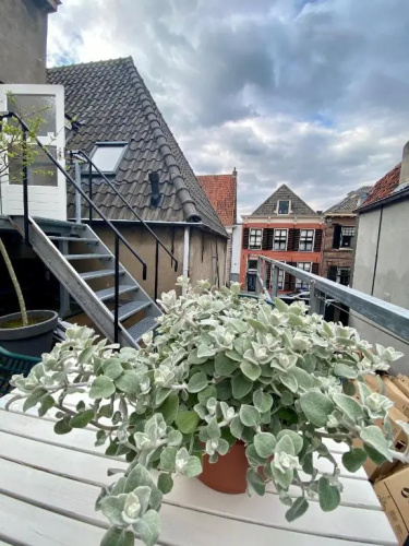 B&B Het Atelier