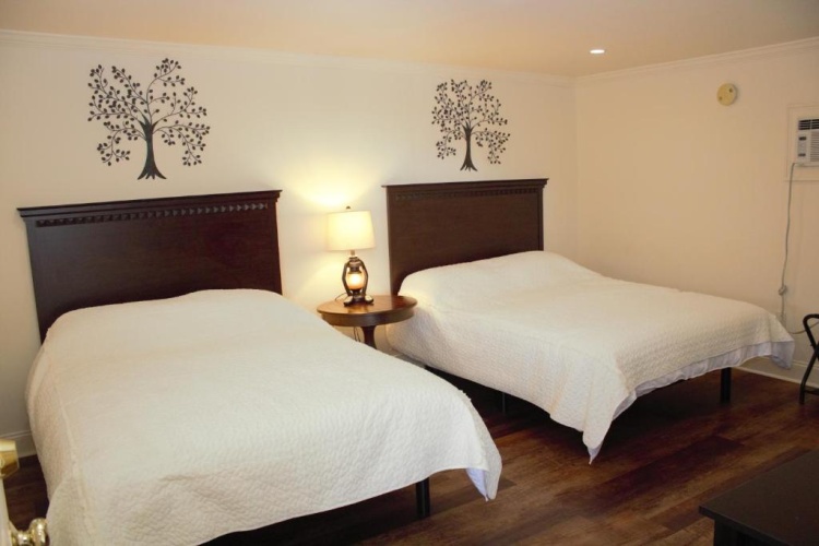 Standard Double room with mountain view