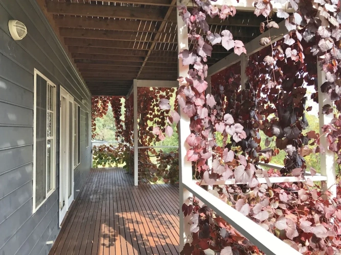 Executive Cottage