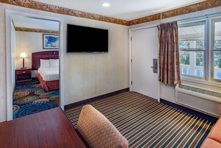 1 Bedroom Suite