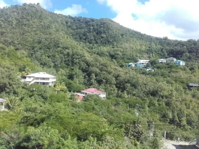 1 Bedroom Superior Apartment with garden view