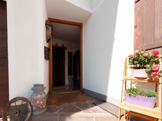 1 Bedroom Comfort Apartment