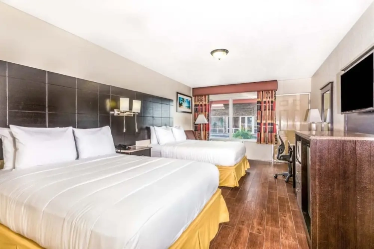 Quadruple Suite