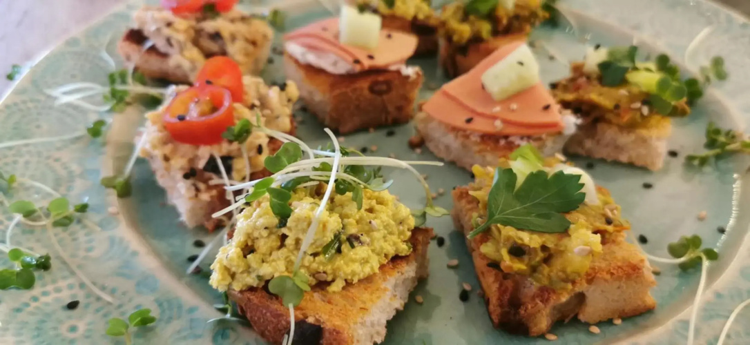 The Base Vegan Retreat