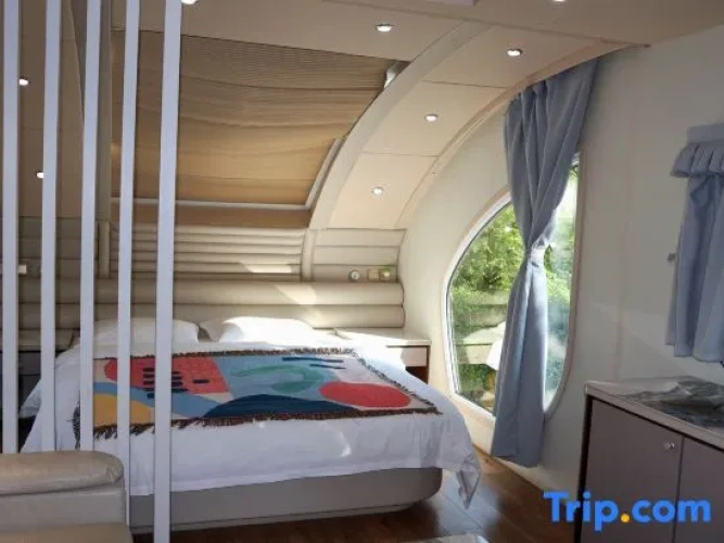 Bed in Dorm