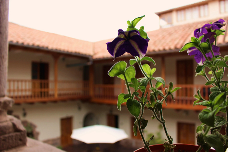 Image de l'hôtel