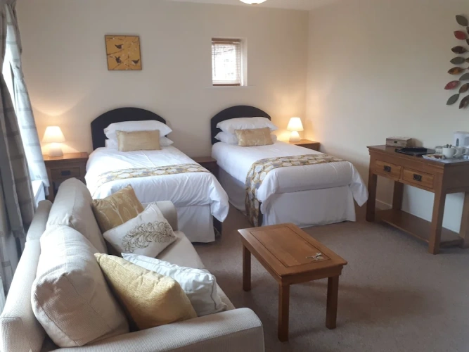 Deluxe Twin room with garden view