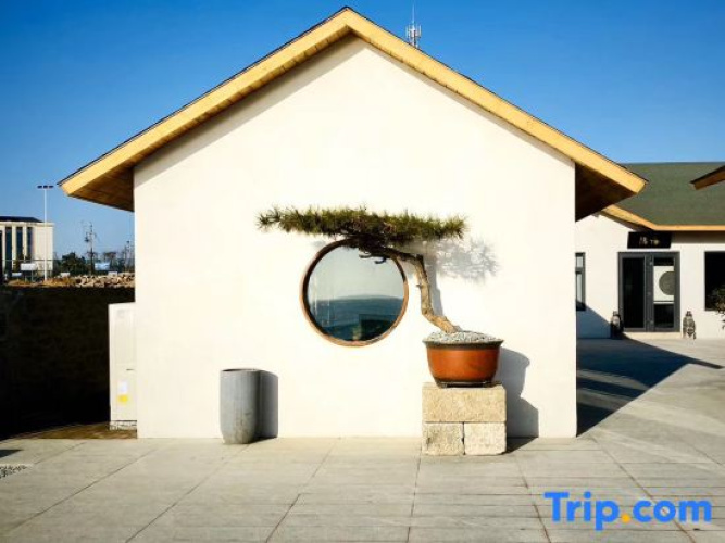 Ocean Aesthetics Museum Hotel