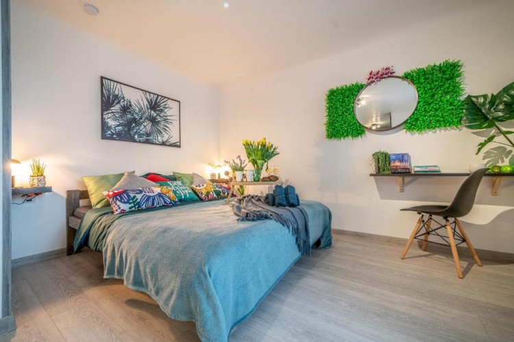 1 Bedroom Apartment
