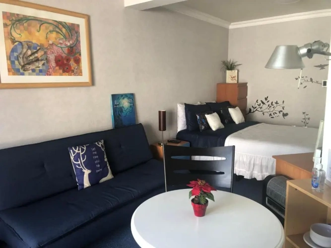 1 Bedroom Apartment
