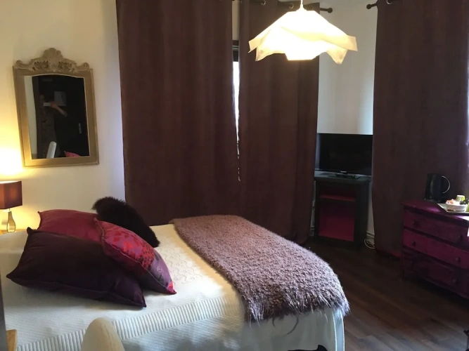 Comfort Double Studio