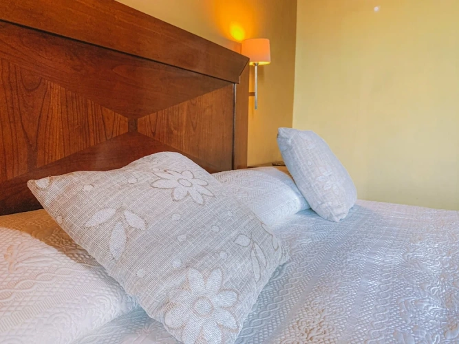 Standard Double room with garden view