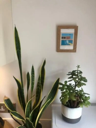 Quadruple Apartment