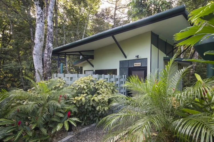 Standard Bungalow