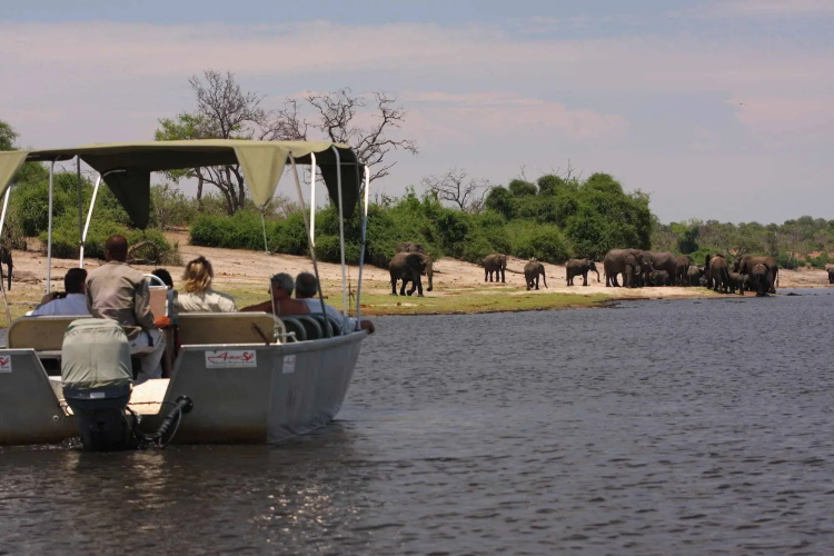 Elephant Valley Lodge