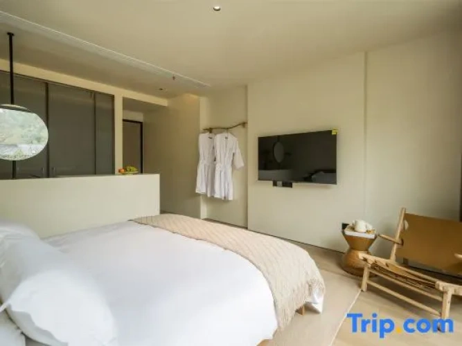 Standard Double room with courtyard view