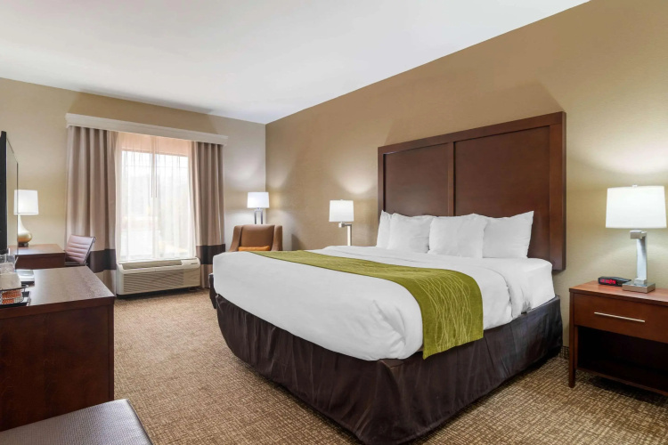 Comfort Inn & Suites Griffin North