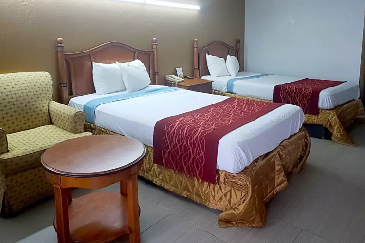 Standard Double room