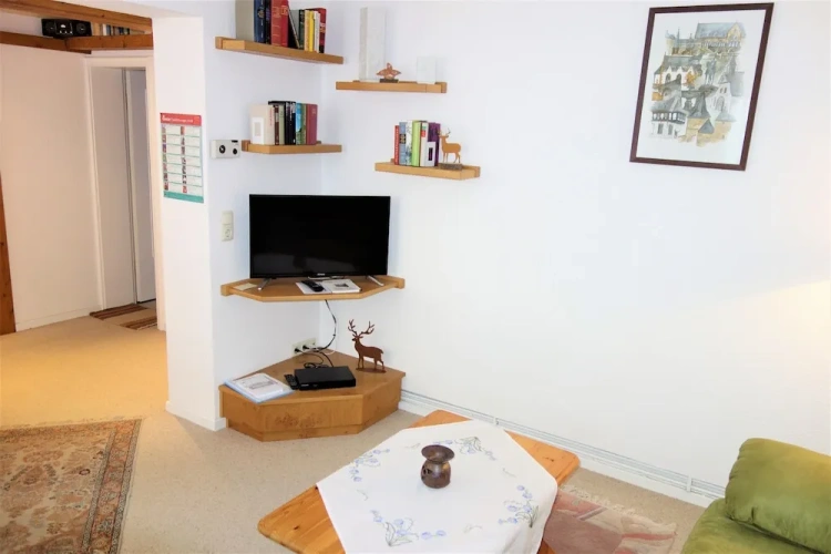 Classic Apartment