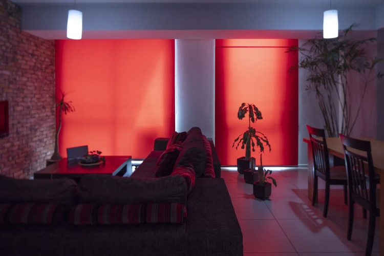 Beautiful Apartment in Roma Norte.
