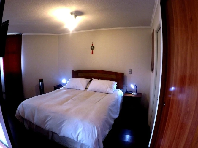 1 Bedroom Standard Apartment