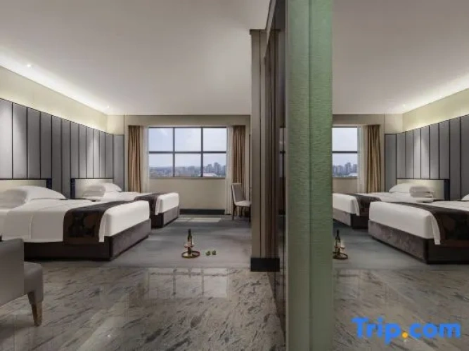 Deluxe Twin room with city view