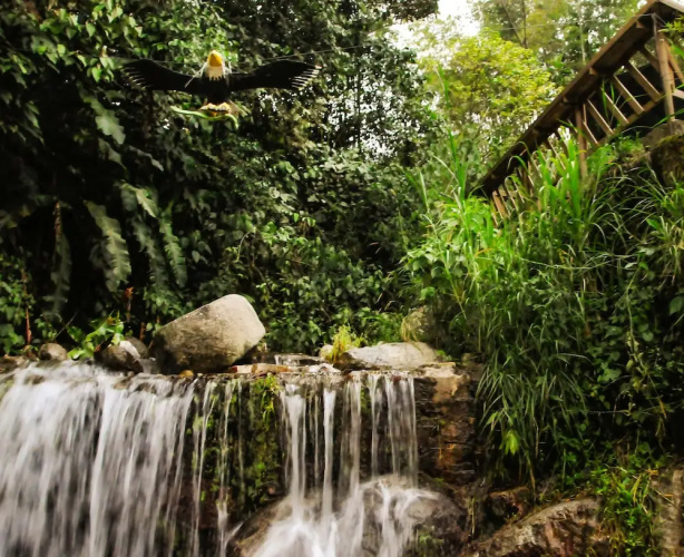 Eco Hotel Tierra de Agua