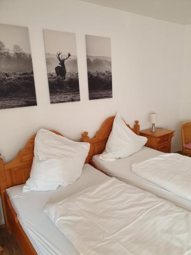 Classic Triple room with view