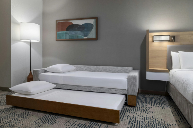 Springhill Suites Dallas Arlington North photo 6