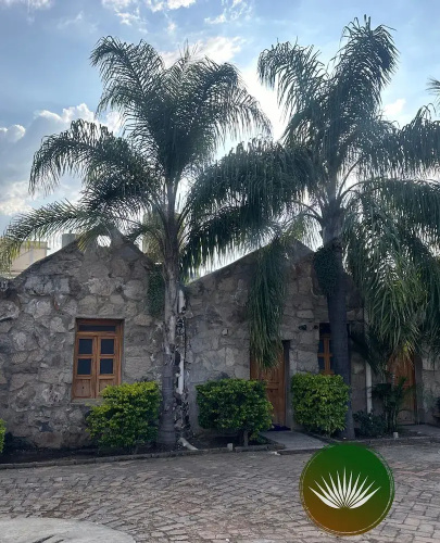 Hotel Monte Agave
