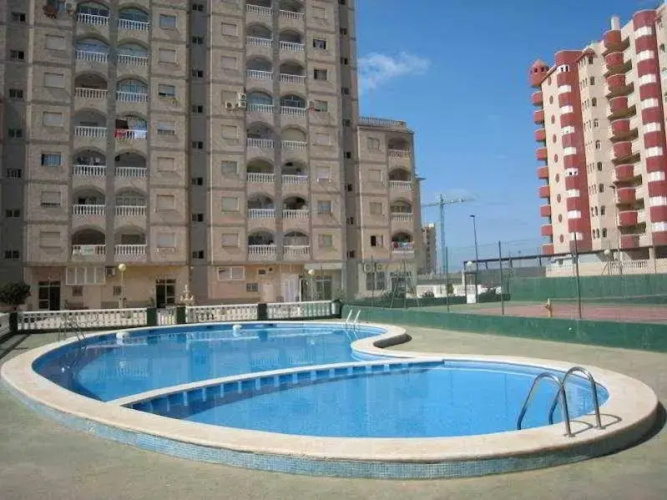 Oasis